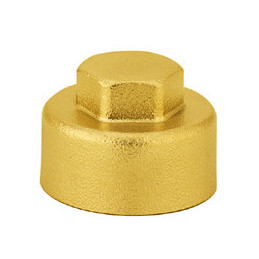 5993 TAPPO ø1"F X...